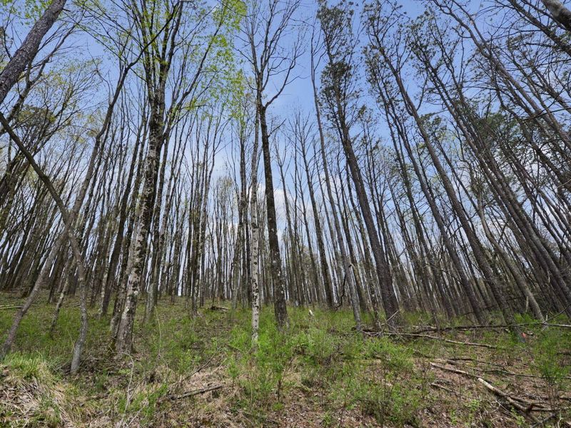 841 Eaton Hollow Road SW, Lancaster, OH 43130 Photo 25