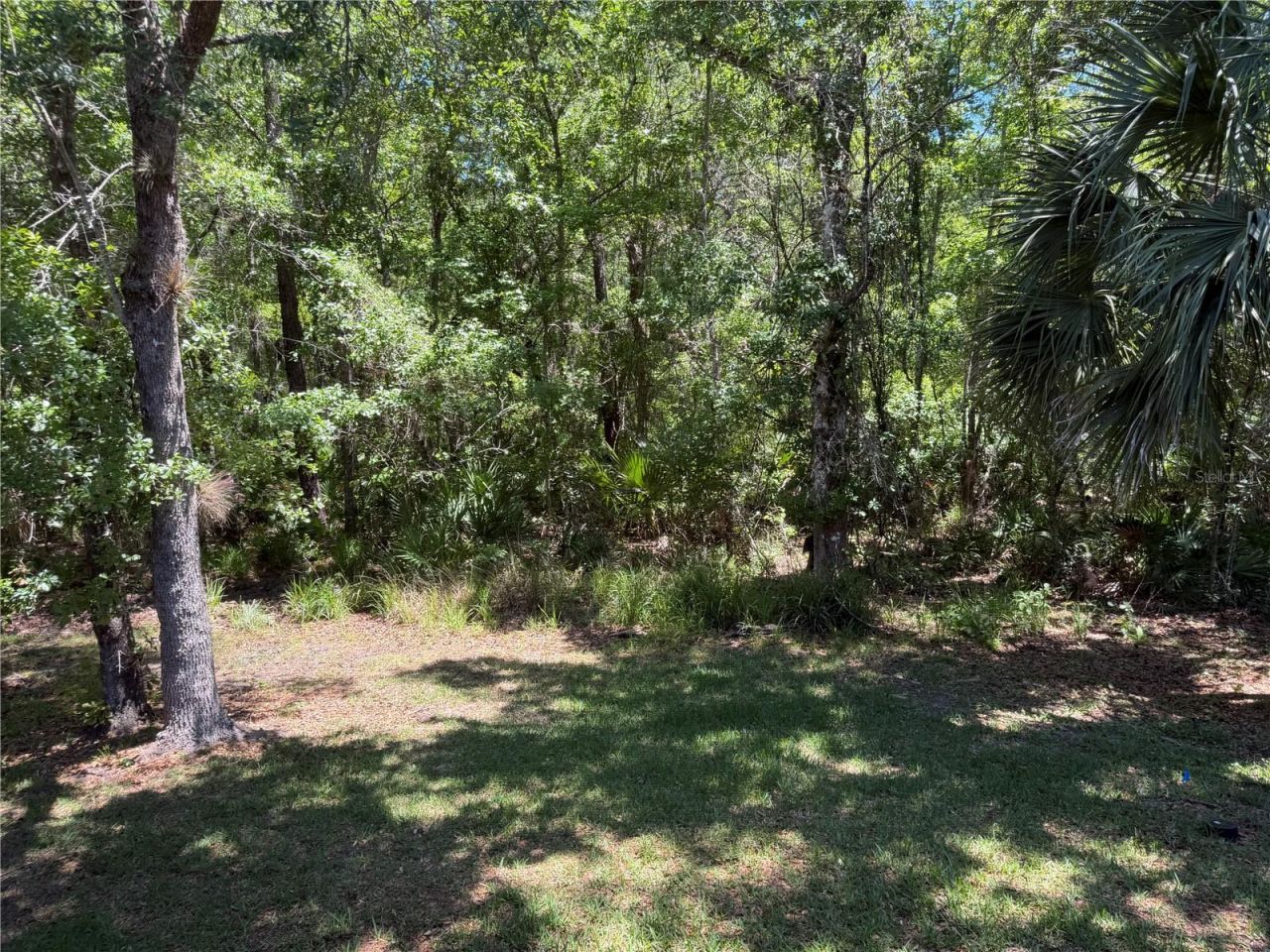 683 Evening Sky Drive, Oviedo, FL 32765 Photo