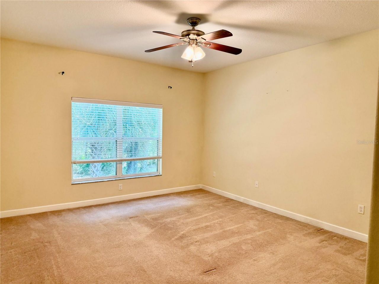 683 Evening Sky Drive, Oviedo, FL 32765 Photo