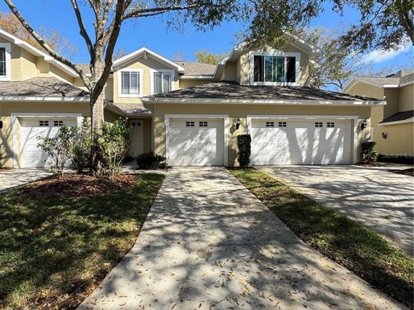 14923 SALAMANDER PLACE , TAMPA, FL 33625