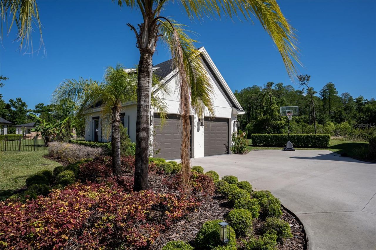 19101 Magnolia Farms Lane, Odessa, FL 33556 Photo