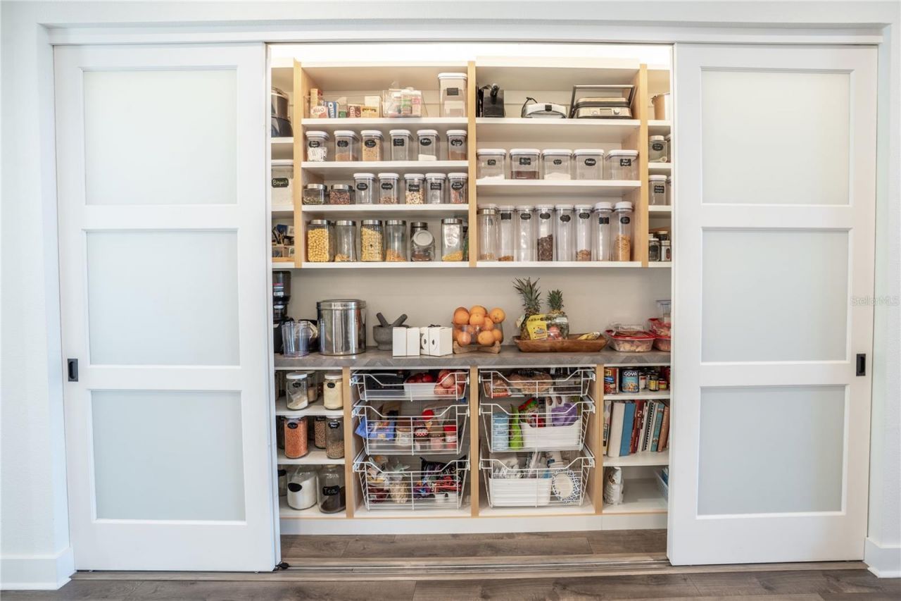 19101 Magnolia Farms Lane, Odessa, FL 33556 Photo