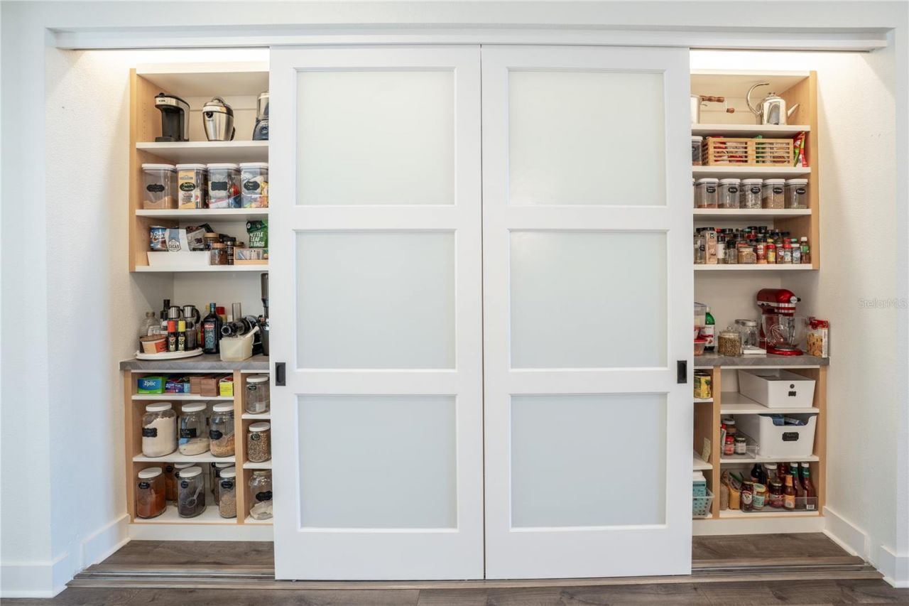 19101 Magnolia Farms Lane, Odessa, FL 33556 Photo