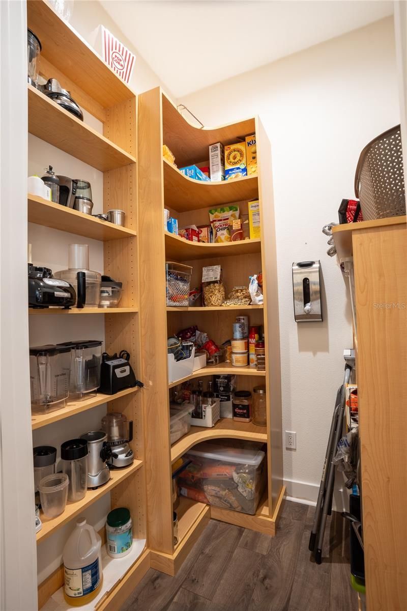 19101 Magnolia Farms Lane, Odessa, FL 33556 Photo