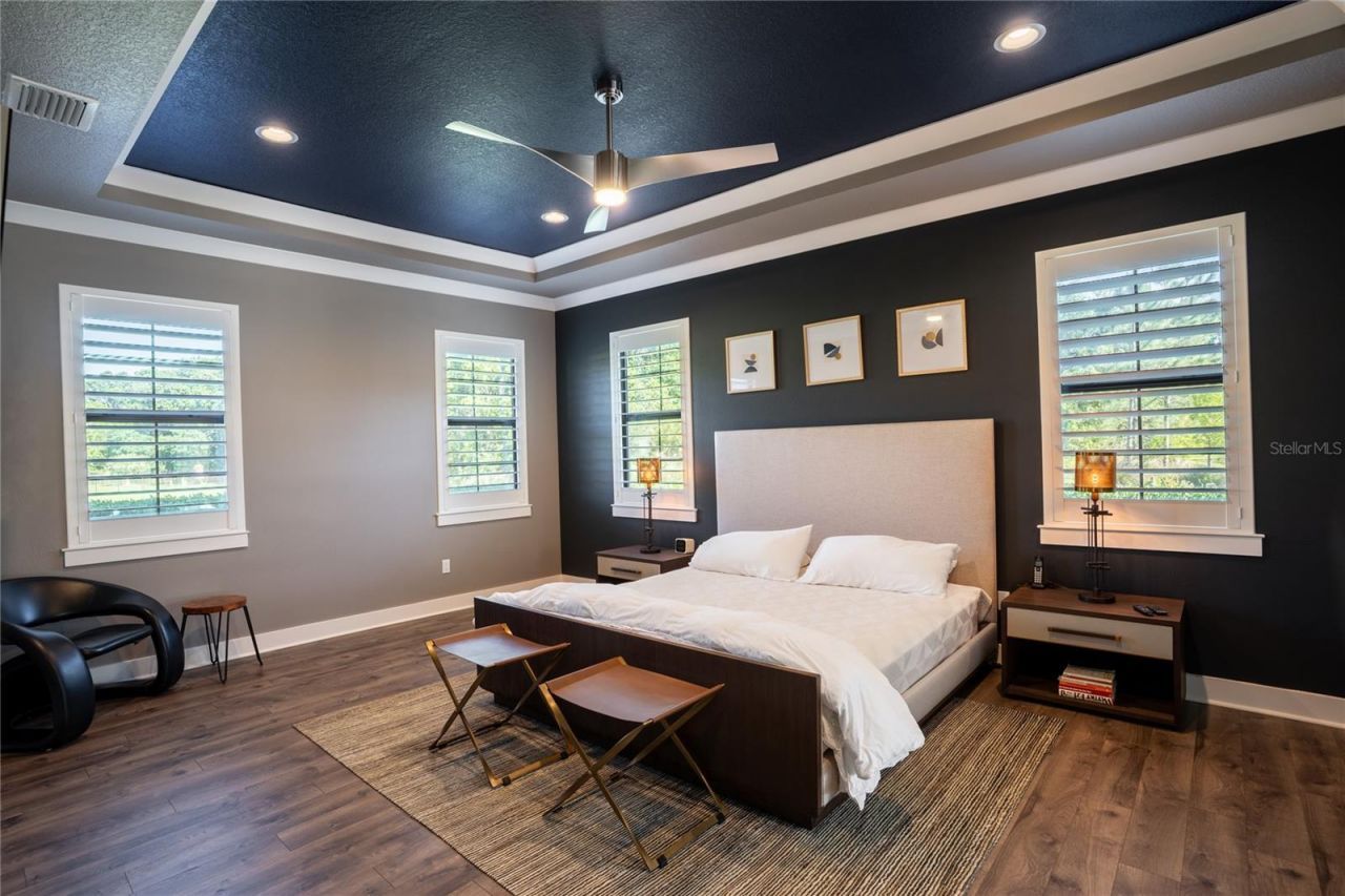 19101 Magnolia Farms Lane, Odessa, FL 33556 Photo