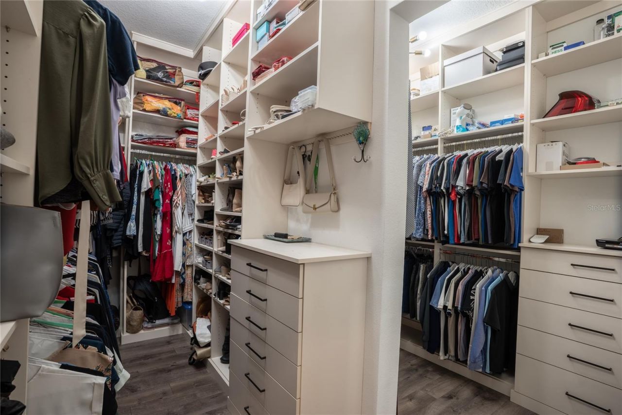 19101 Magnolia Farms Lane, Odessa, FL 33556 Photo