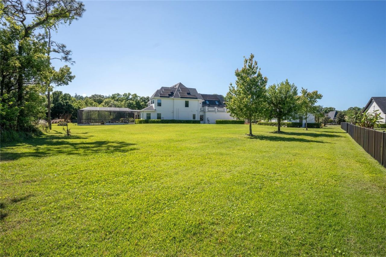 19101 Magnolia Farms Lane, Odessa, FL 33556 Photo