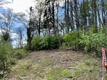 LAKESIDE DR, Charlottesville, VA 22901