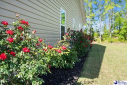 1423 Bourbon Drive photo 4