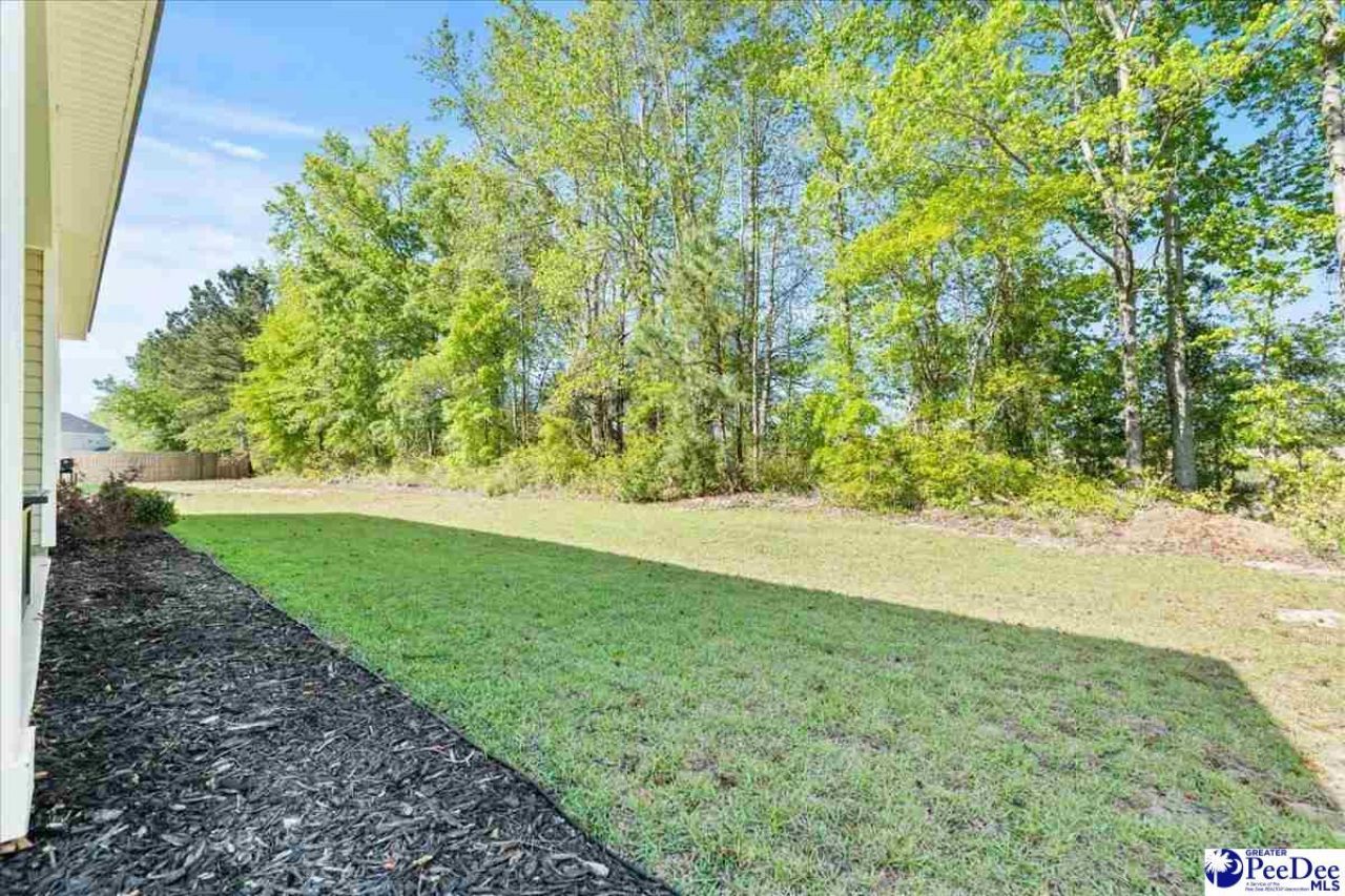 1423 Bourbon Drive Photo 40