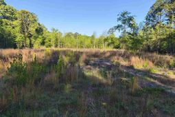 1200 Whippoorwill Rd photo 4