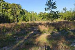 1200 Whippoorwill Rd photo 4