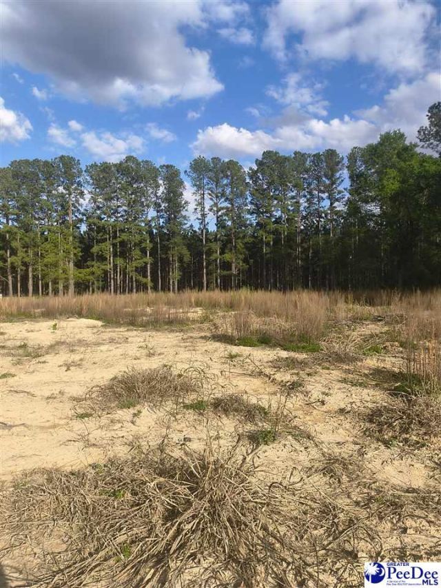 1200 Whippoorwill Rd Photo 4