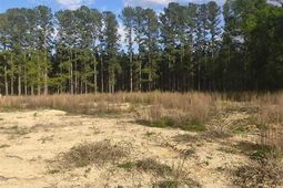 1200 Whippoorwill Rd photo 4