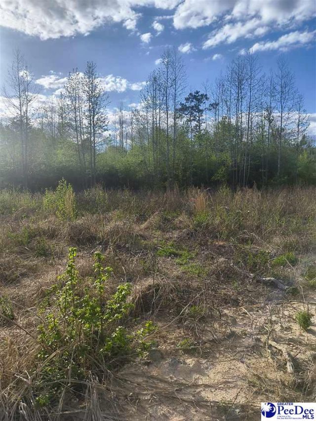 1200 Whippoorwill Rd Photo 5