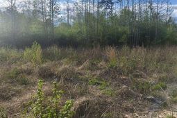 1200 Whippoorwill Rd photo 4