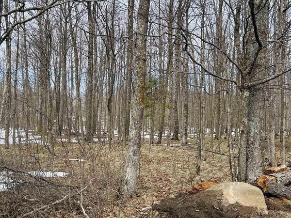 Lot#25 Fordville Road, Breen Twp, MI 49834