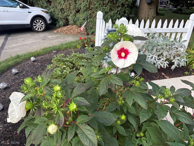 31825 Bayview Drive, Unit 89, Avon Lake, OH 44012 Photo 46