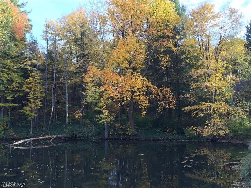 15720 Jug Road, Burton, OH 44021 Photo 45