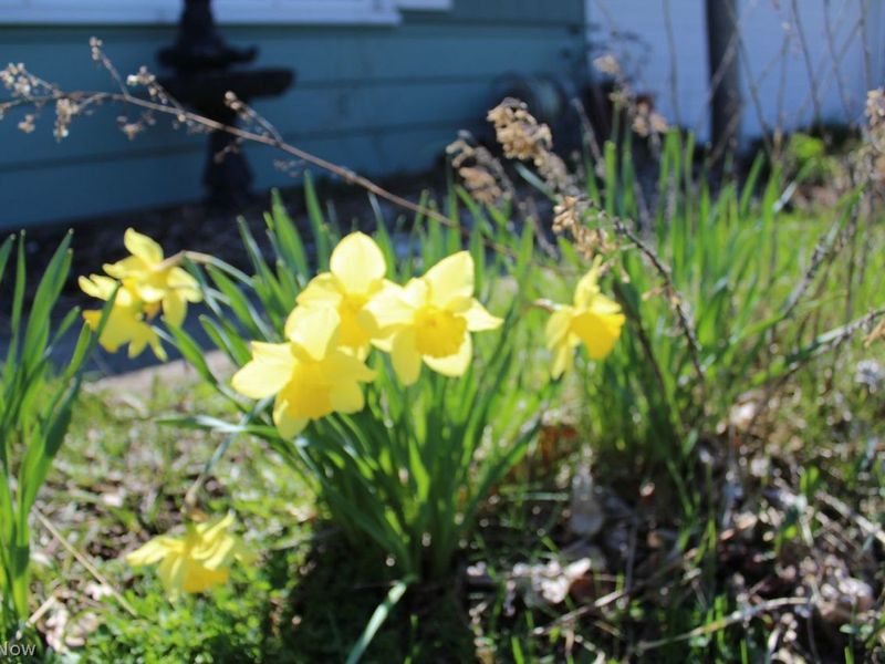 1182 Frost Road, Streetsboro, OH 44241 Photo 18