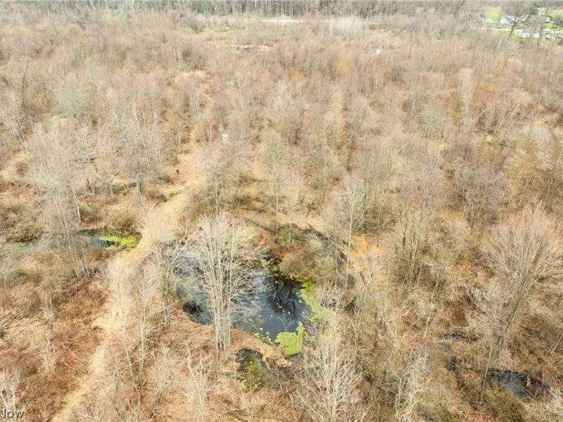 Center Road, Poland, OH 44436 Photo 10