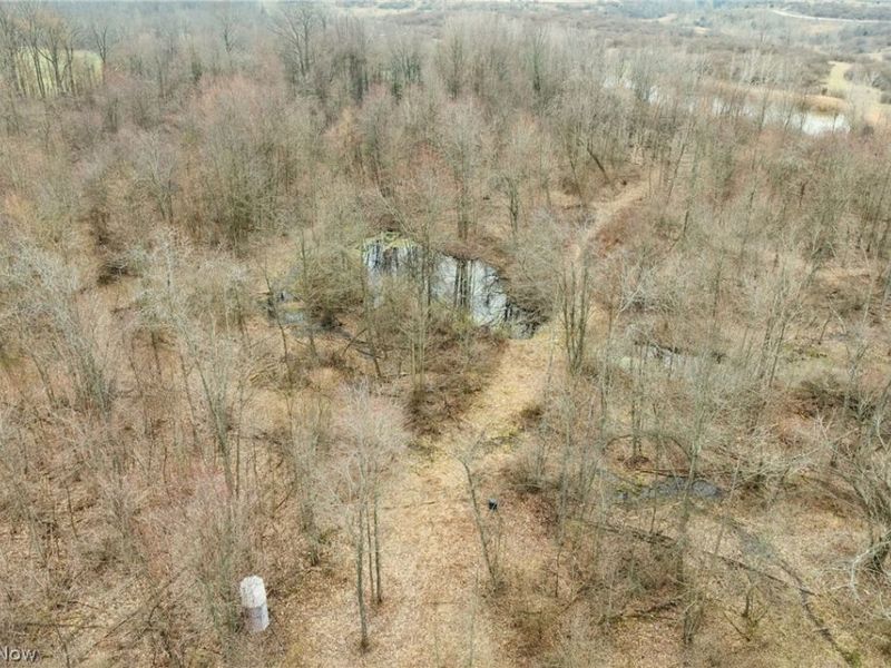 Center Road, Poland, OH 44436 Photo 11