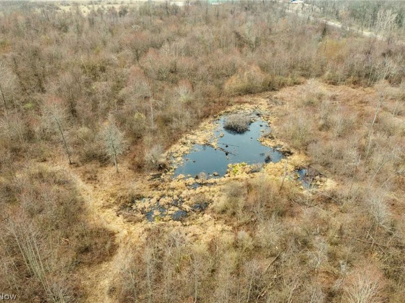 Center Road, Poland, OH 44436 Photo 13