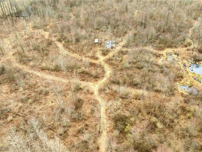 Center Road, Poland, OH 44436 Photo 14