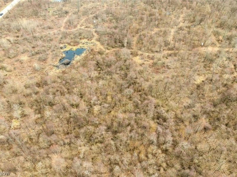 Center Road, Poland, OH 44436 Photo 18