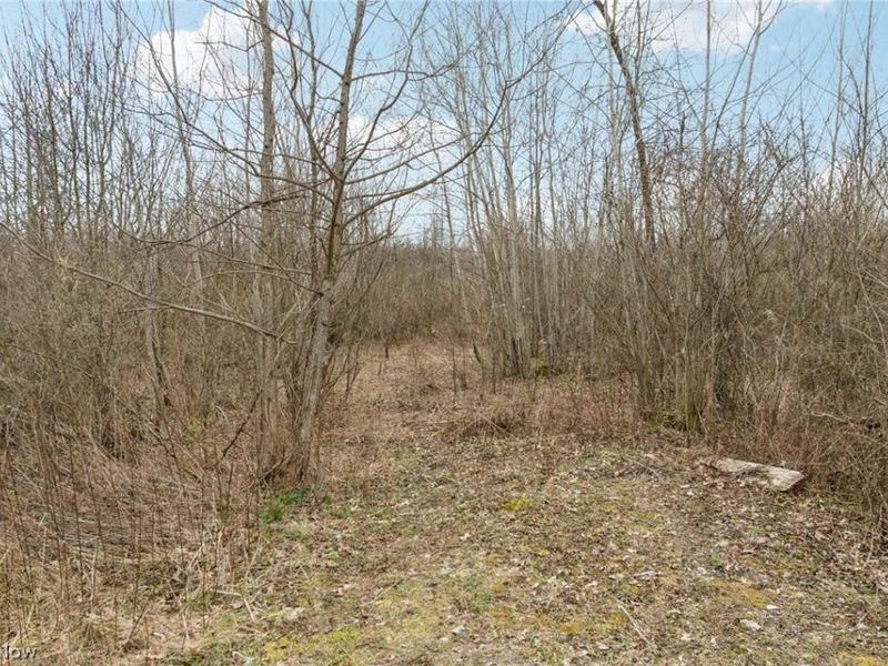 Center Road, Poland, OH 44436 Photo 2