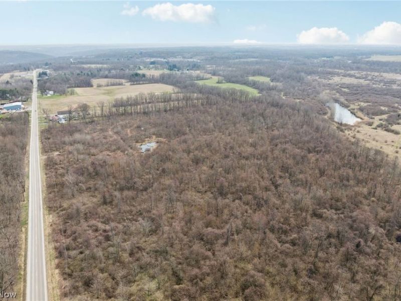 Center Road, Poland, OH 44436 Photo 24