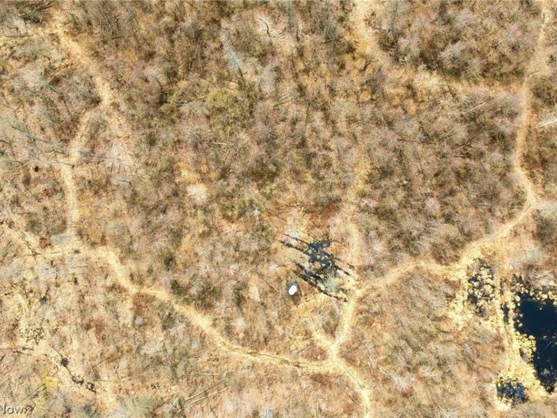 Center Road, Poland, OH 44436 Photo 26