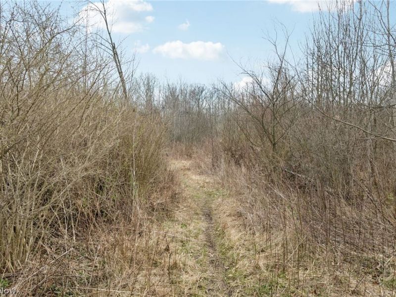 Center Road, Poland, OH 44436 Photo 3