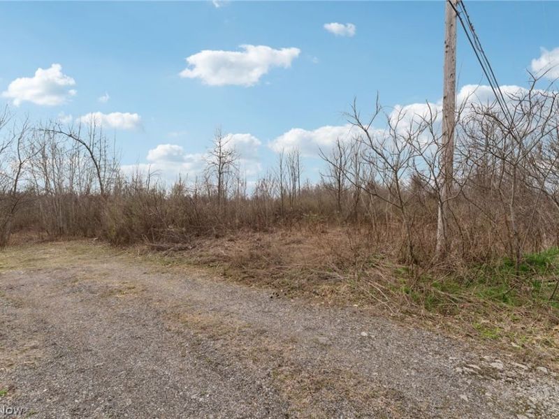 Center Road, Poland, OH 44436 Photo 4