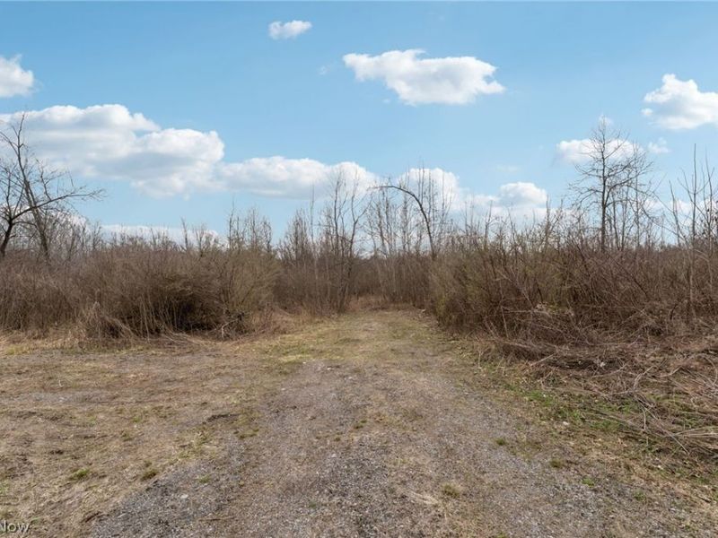 Center Road, Poland, OH 44436 Photo 5