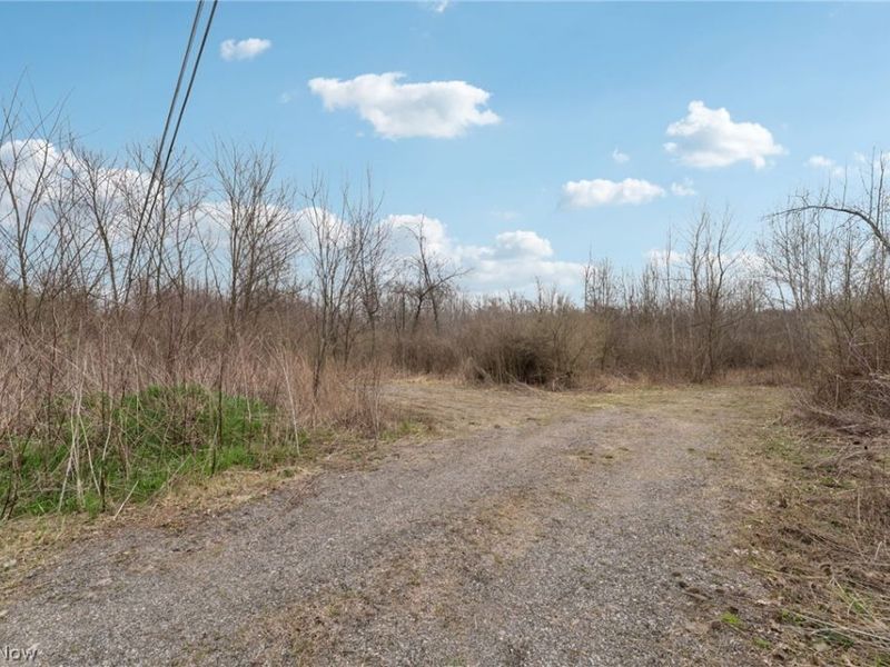 Center Road, Poland, OH 44436 Photo 6