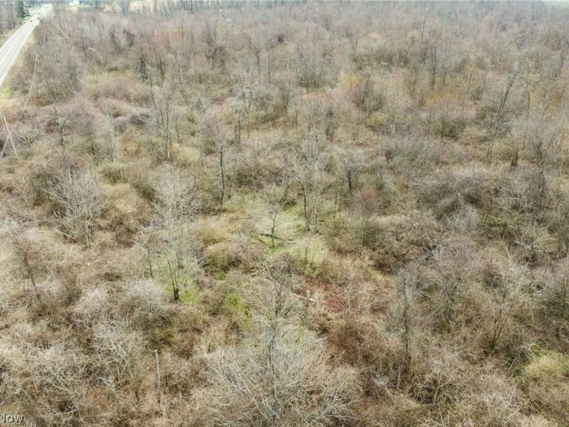 Center Road, Poland, OH 44436 Photo 7