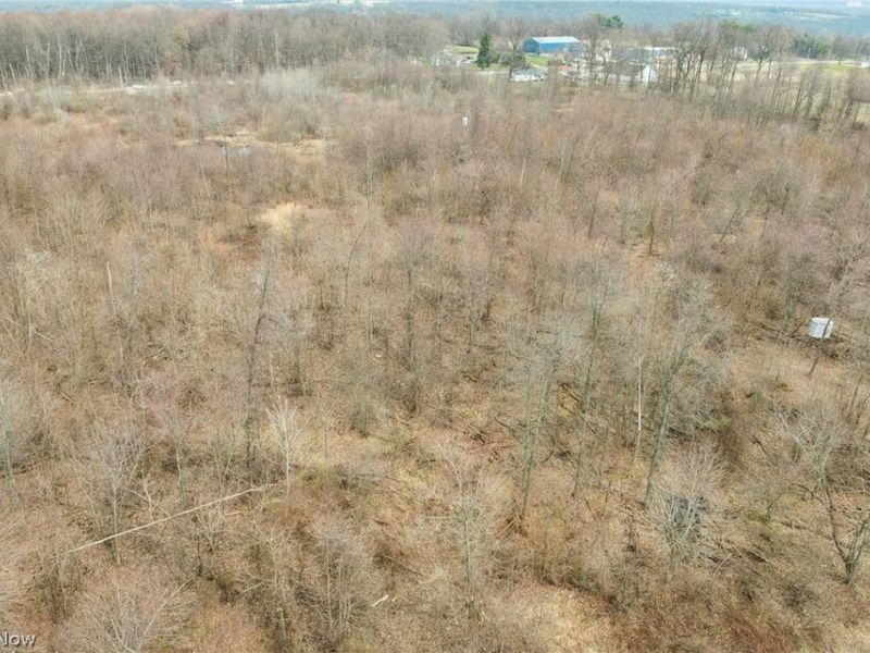 Center Road, Poland, OH 44436 Photo 8