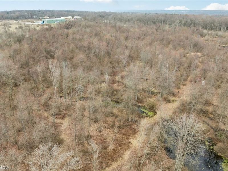 Center Road, Poland, OH 44436 Photo 9