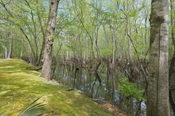 150 Franks Lane photo 4