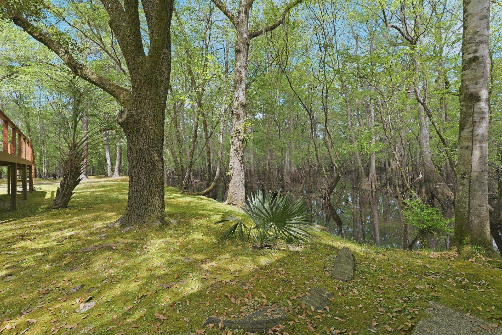 150 Franks Lane Photo 37