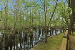 150 Franks Lane photo 4