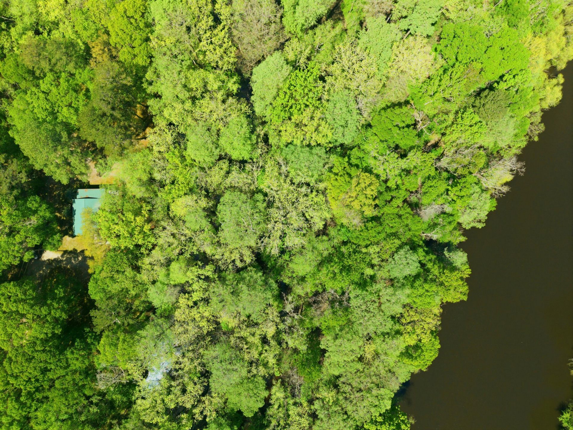 150 Franks Lane Photo 44