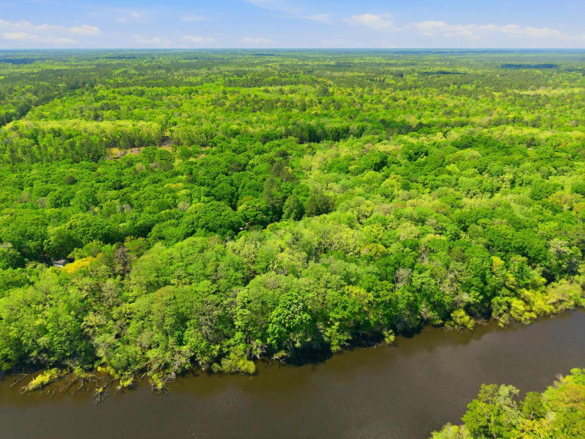 150 Franks Lane Photo 46