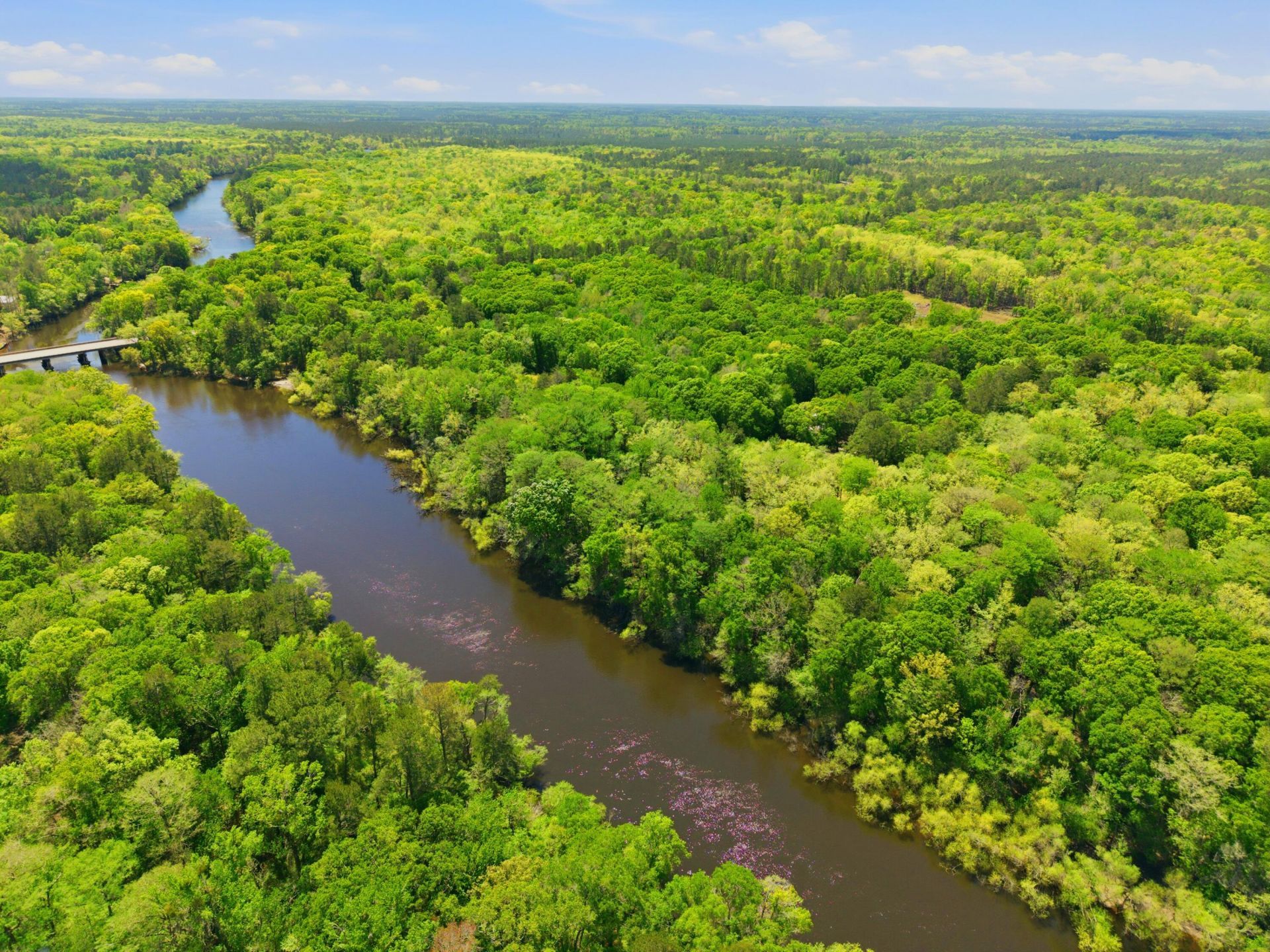 150 Franks Lane Photo 47