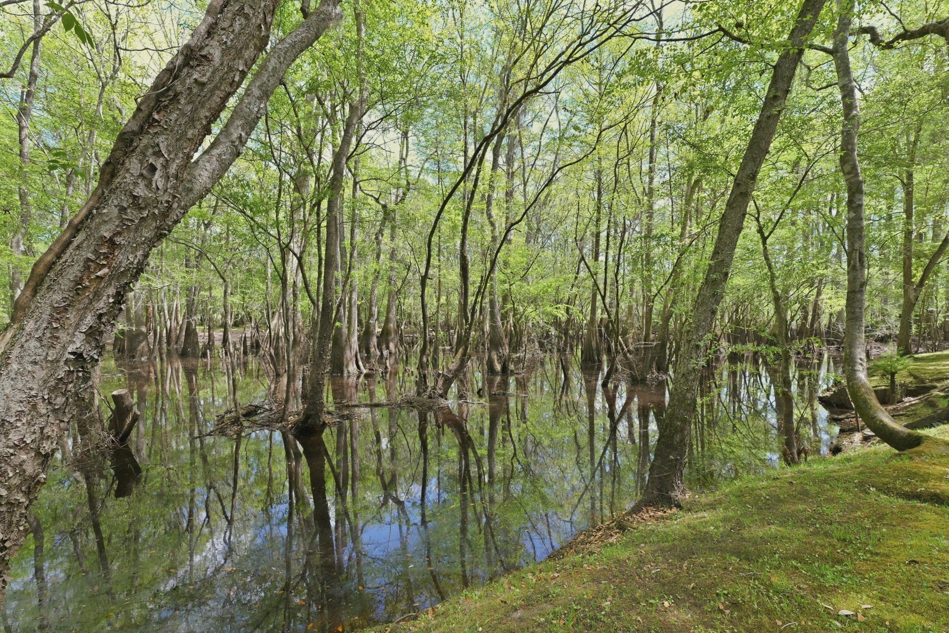 150 Franks Lane Photo 5