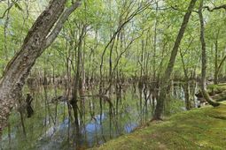 150 Franks Lane photo 4