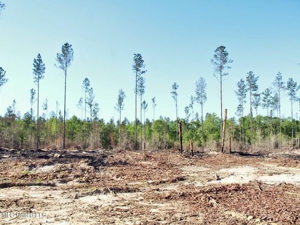 10.34ac Little Cedar Road, Lucedale, MS 39452