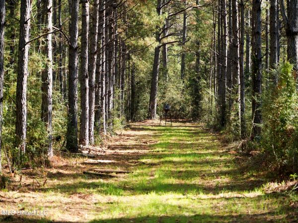 0 Mallalieu Drive, Ruth, MS 39662