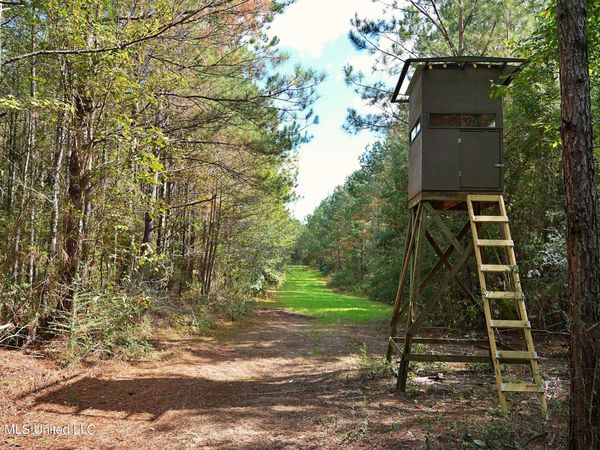 SE Pleasant Grove Road, Ruth, MS 39662